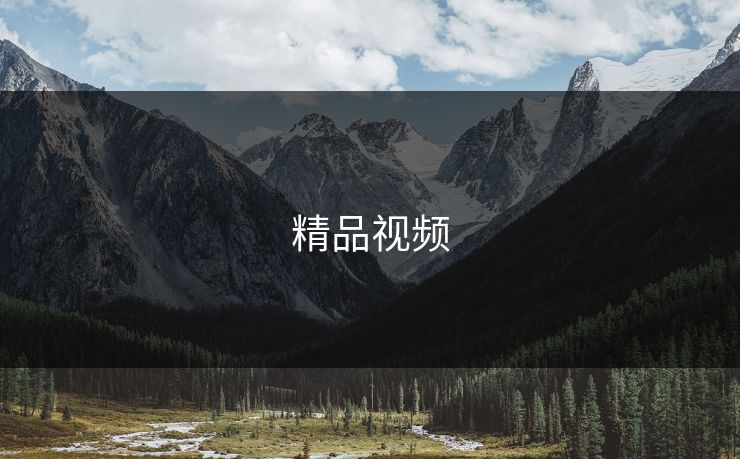 精品视频