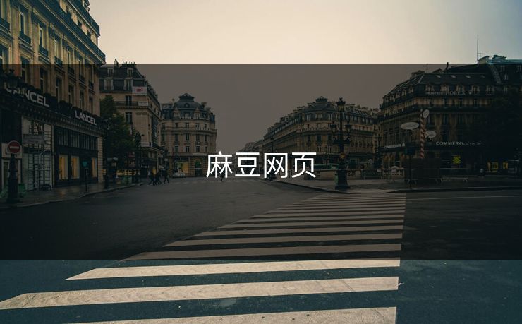 麻豆网页