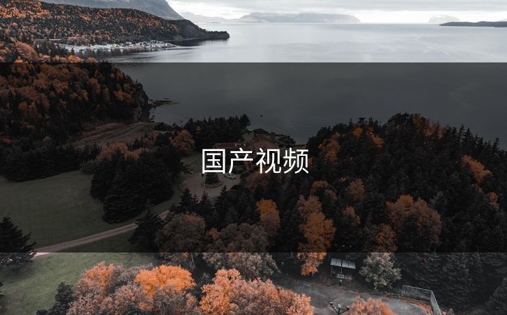 国产视频