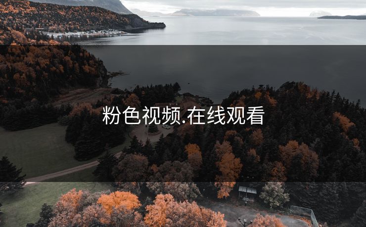 粉色视频.在线观看