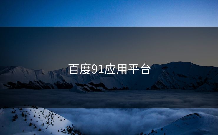 百度91应用平台