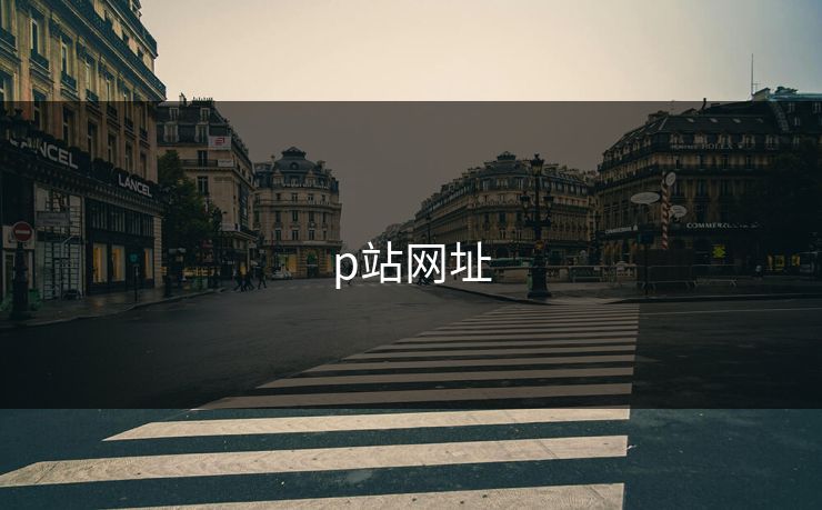 p站网址