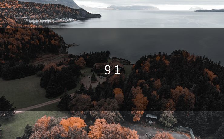 9 1