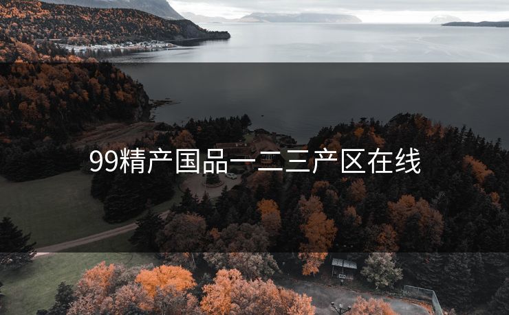 99精产国品一二三产区在线