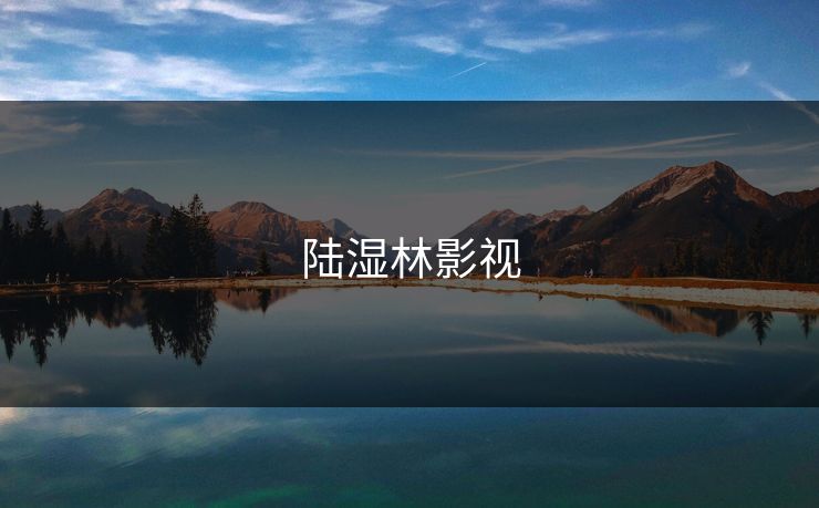 陆湿林影视