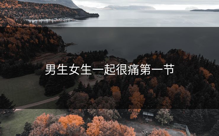 男生女生一起很痛第一节