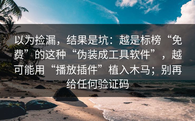 以为捡漏，结果是坑：越是标榜“免费”的这种“伪装成工具软件”，越可能用“播放插件”植入木马；别再给任何验证码