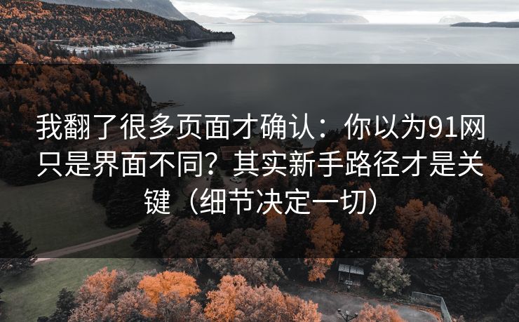 我翻了很多页面才确认：你以为91网只是界面不同？其实新手路径才是关键（细节决定一切）